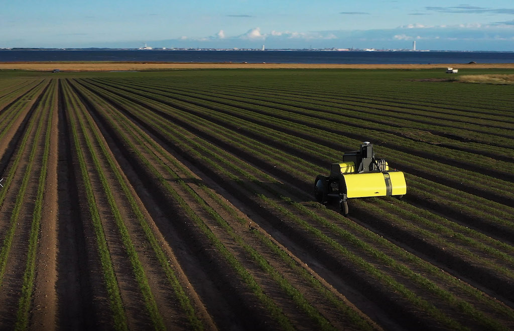Das norwegische Unternehmen Kilter hat einen autonomen Agrarroboter entwickelt, mit dessen Hilfe Landwirte den Herbizideinsatz um bis zu 95 Prozent reduzieren können.
