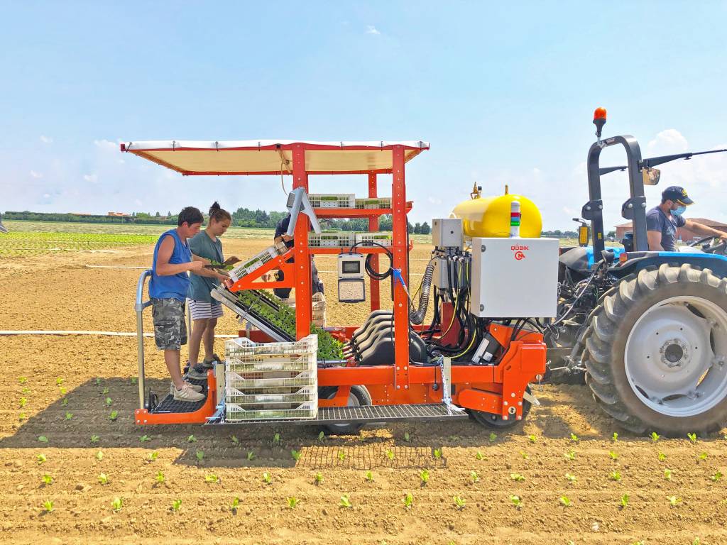 Mehr Produktivität bei Presswürfel-Pflanzvorgängen mit Sigmatek-Technik. Die Pflanzmaschine Qubik schafft bis zu 7.200 Pflanzen pro Stunde.